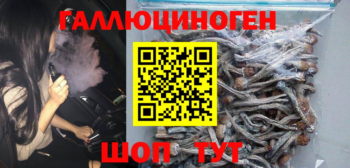 Псилоцибиновые грибы MAGIC MUSHROOMS  Псилоцибиновые грибы Psilocybe  Вход с VPN  Тында 