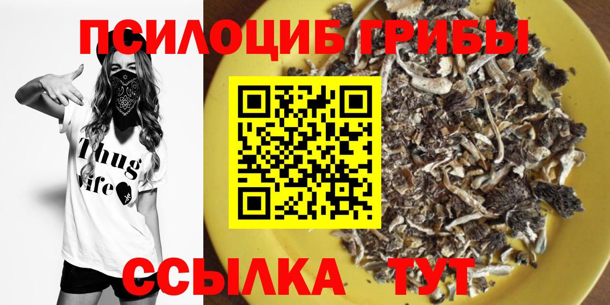 Галлюциногенные грибы MAGIC MUSHROOMS Тында