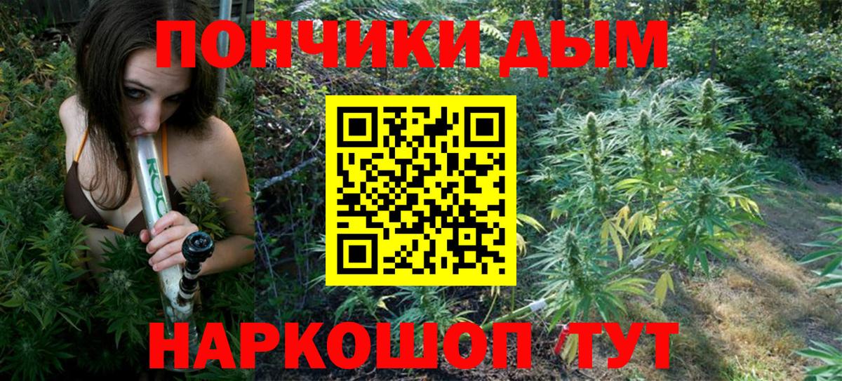 МАРИХУАНА планчик  Каннабис Bruce Banner  Тында  Вход с VPN 